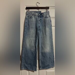 Arizona Jean Company Blue Flare Jeans